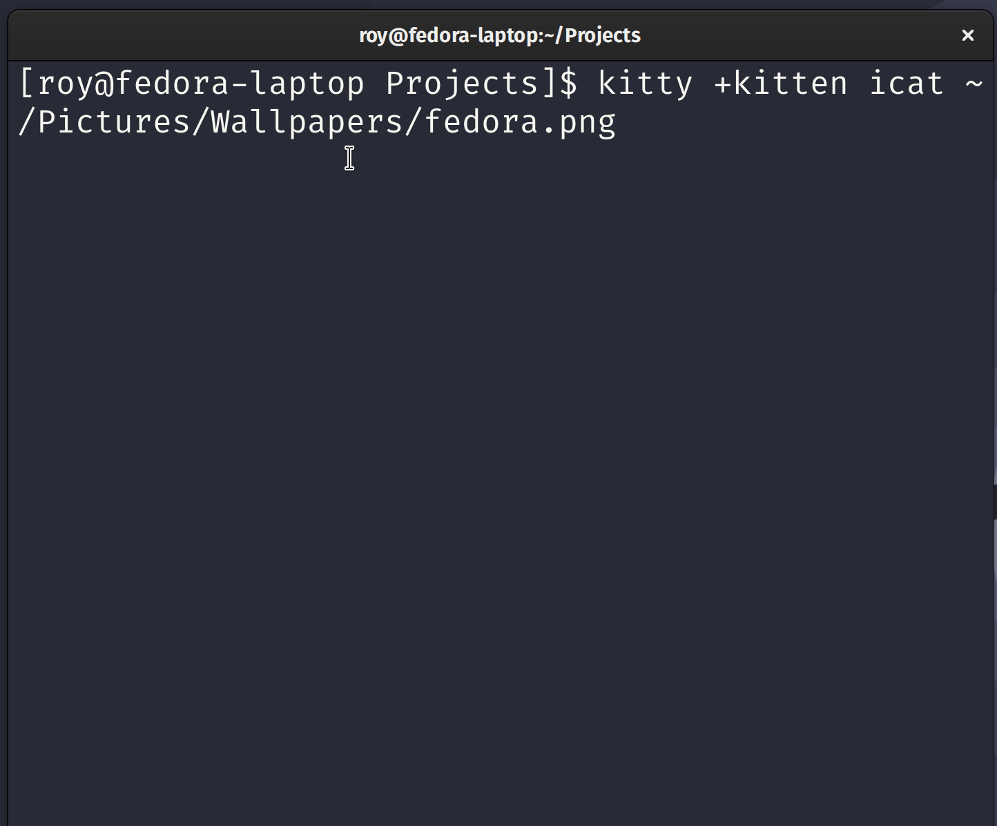 Kitty rendering an image